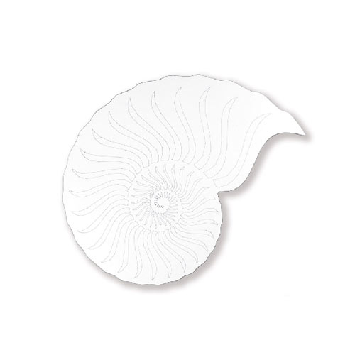 tabla presentacion alimentos TCM 12